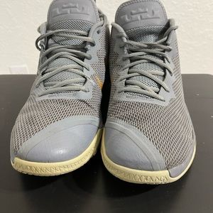 Lebron James Sneaker size 14